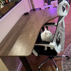 Adjustable Height Desk with chair