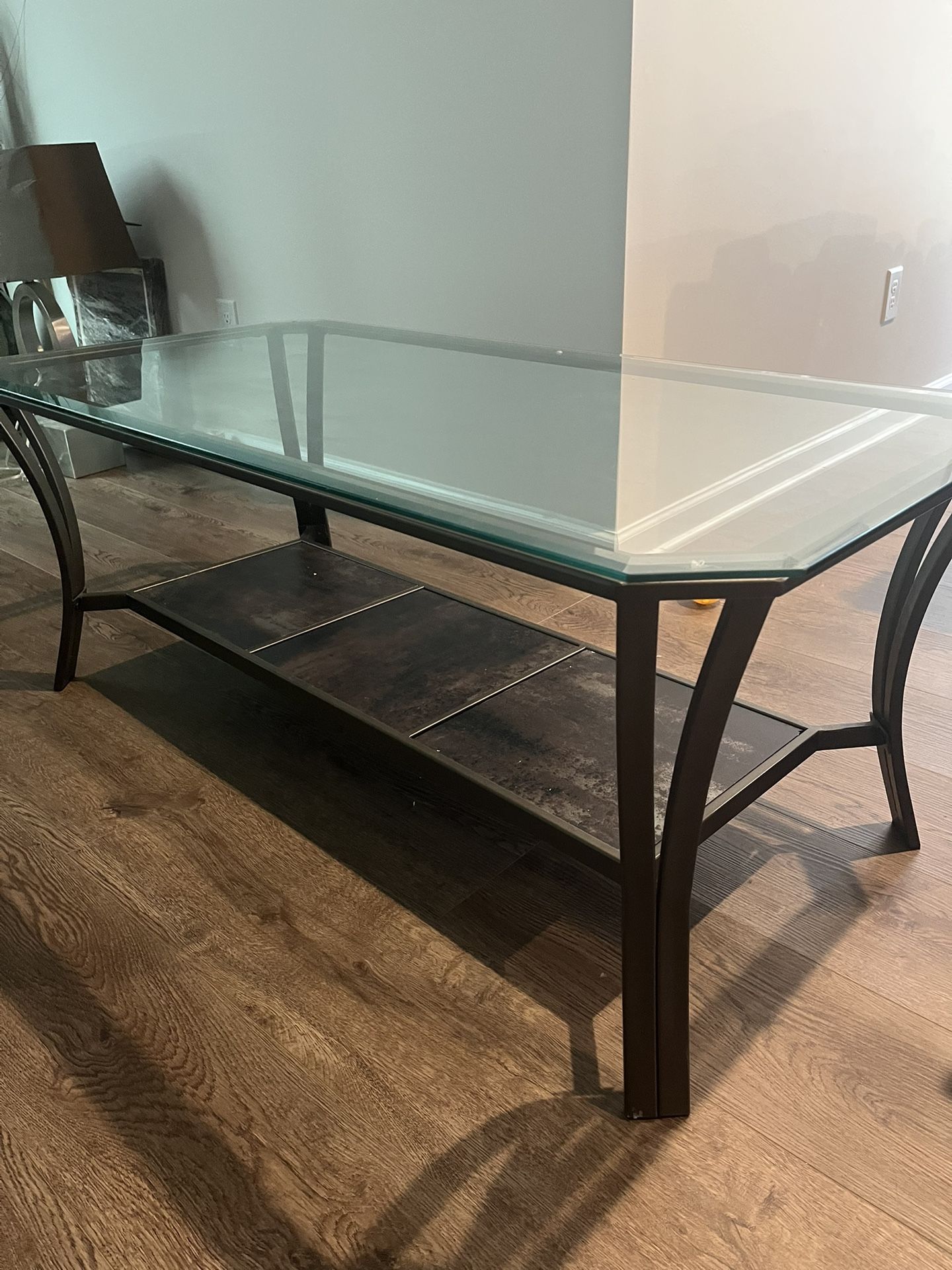 Modern Glass Coffee Table with Storage Shelf