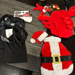 Costumes For Guinea Pigs