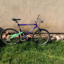 Vintage Trek Full Suspension Mountain Bike 1992