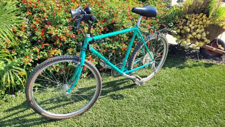 Alpine Bike 12 Speed