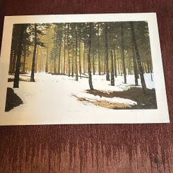 Art Print Very Large Stephan McMillan (first Light)