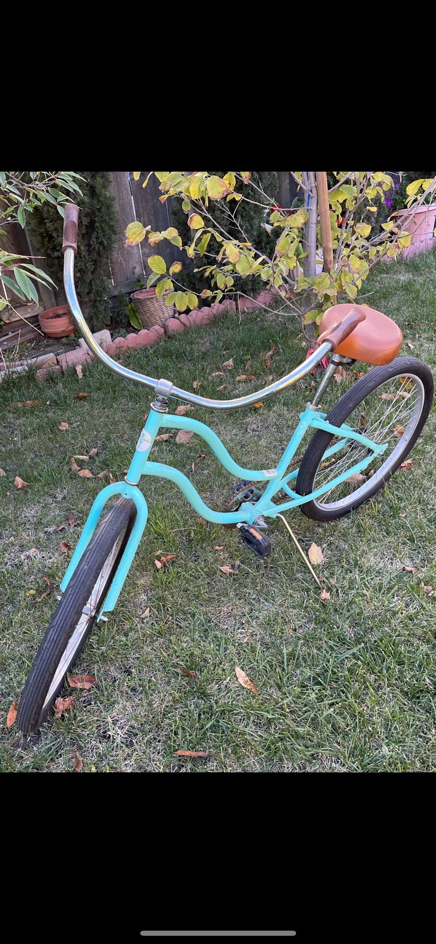 Cruiser Bike