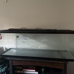 65 Gallon Tank 