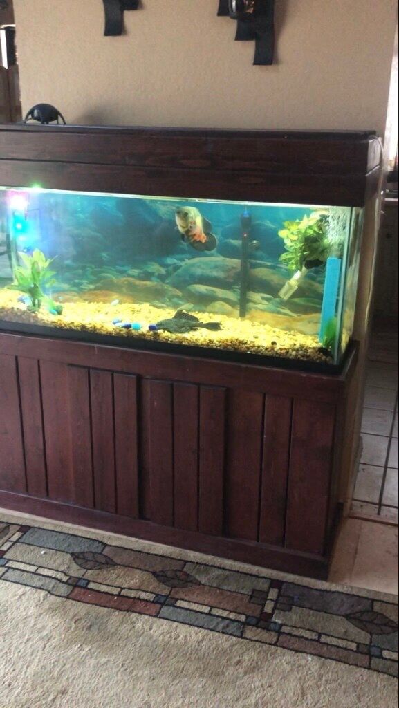 Used 55 gallon fish tank.