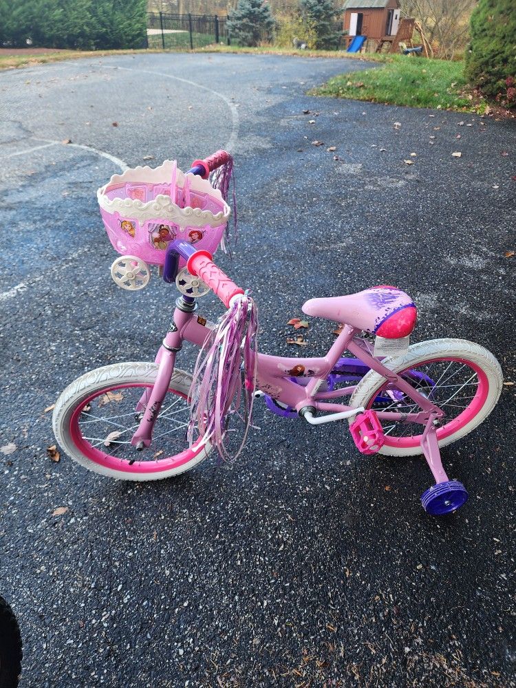 Princess Bike