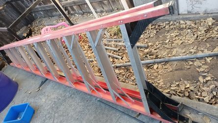 Ladder 10ft