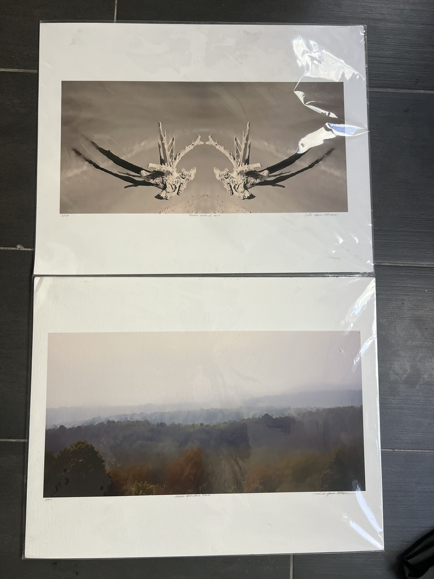Catskill Photographic Prints - 27” x 17”