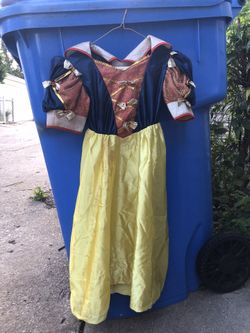 Snow White Costume
