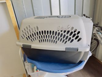 Dog Kennel