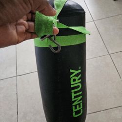Punching Bag