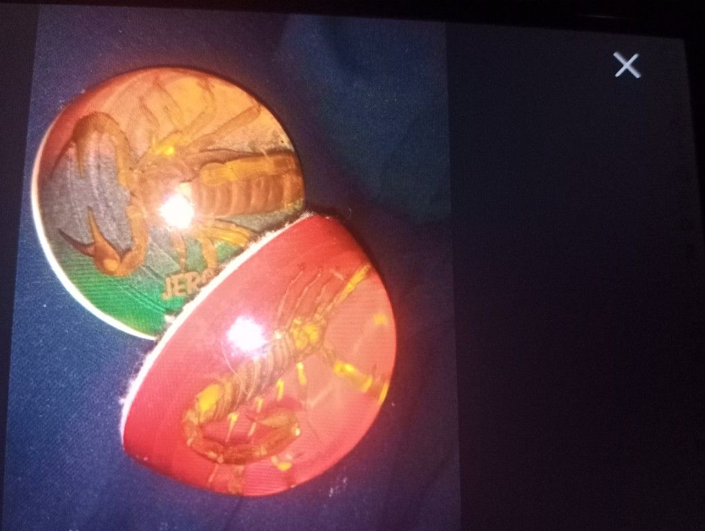 Scorpion Paperweights