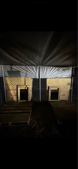 Dog houses