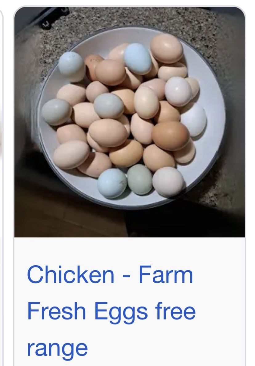 Organic Chicken Eggs 🥚 By The Dozen