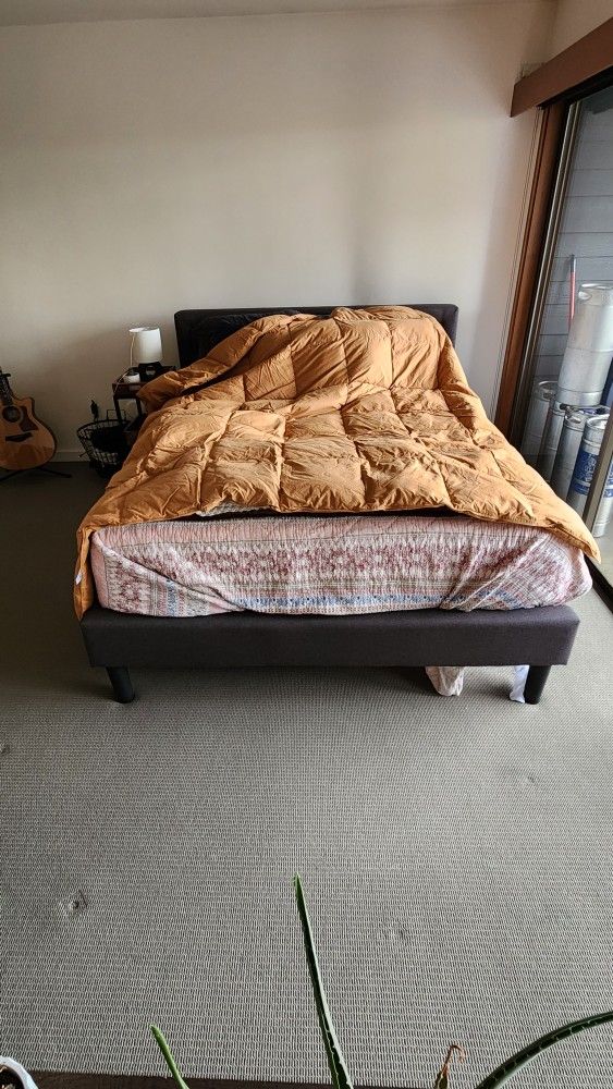 Queen Size Cotton Down Comforter/Duvet