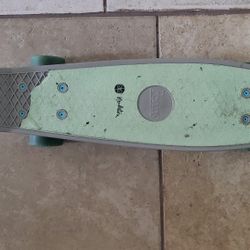 Penny Board -22"