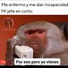 Jose