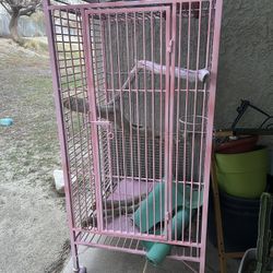 Bird Cage 
