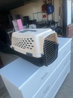 Pet carrier fit small dog