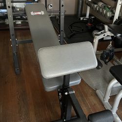 Body Champ Bench With BFLY Curl
