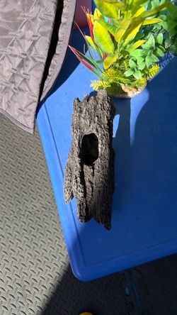 For the tank log and tree