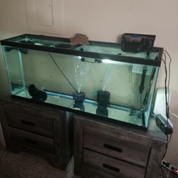 55 Gallon Long Fish Tank For Sale Pick Up On Just The Tank 