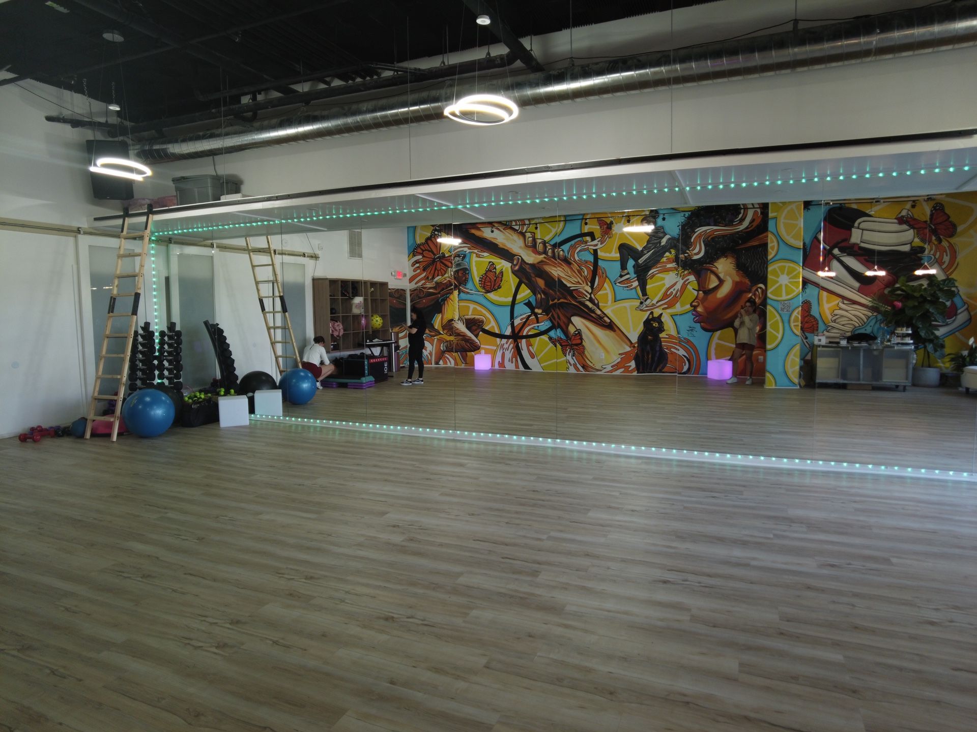 Dance Studio Mirrors