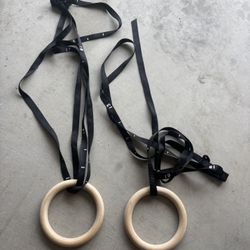 Olympic Work Out Rings 