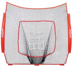 Baseball Net Need Out ASAP