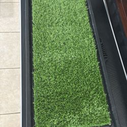 Gen7Pets Natural-Step Foldable Dog Car Ramp