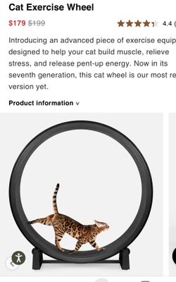 One Fast Cat Exercise wheel