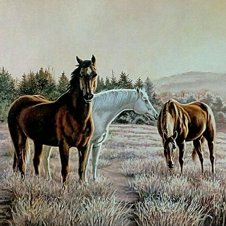 GREAT FATHER'S DAY GIFT! "Evening Rest" by Werner Rentsch, Unframed Print, Wall Art - Outer Print: 35"x23" Image: 31.5"x20",