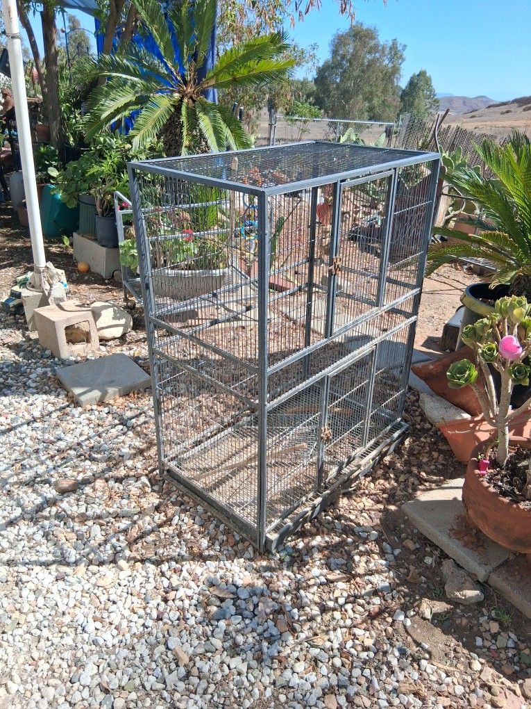 Bird Cage