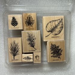 🍂 STAMPIN’UP! • “Fantastic Foliage” Wood Mounted Rubber Stamp Set (8pcs)