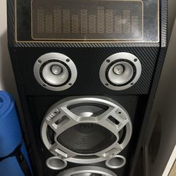 Pyle 1000W Bluetooth Party/Karaoke Tower Speaker – Loud, Clean, Powerful! 