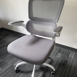 Office Chairs