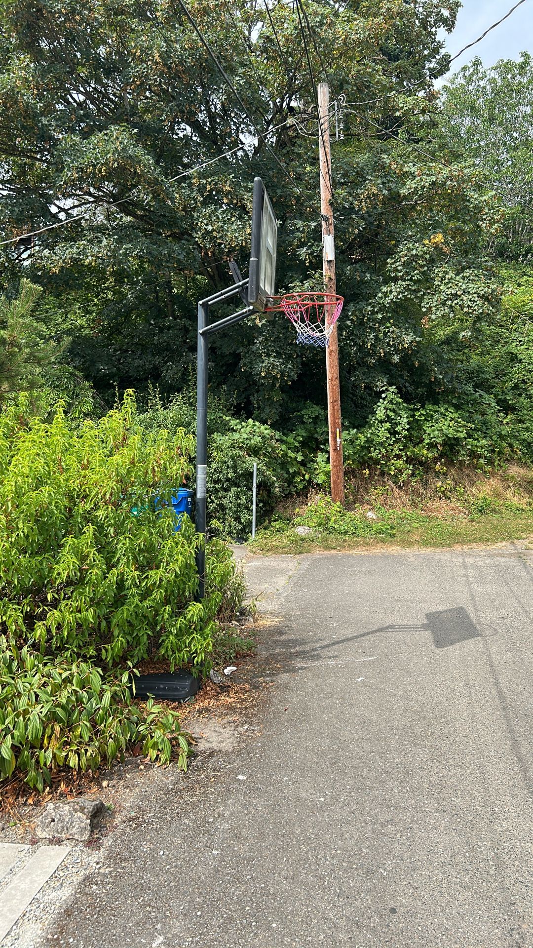 Basketball Hoop
