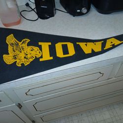 Sport pennant and sports shirt