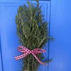 Rosemary 