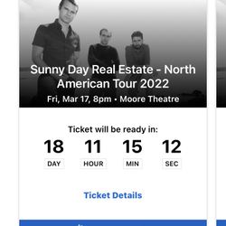 Sunny Day Real Estate Concert