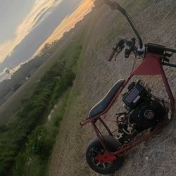 Mini Bike