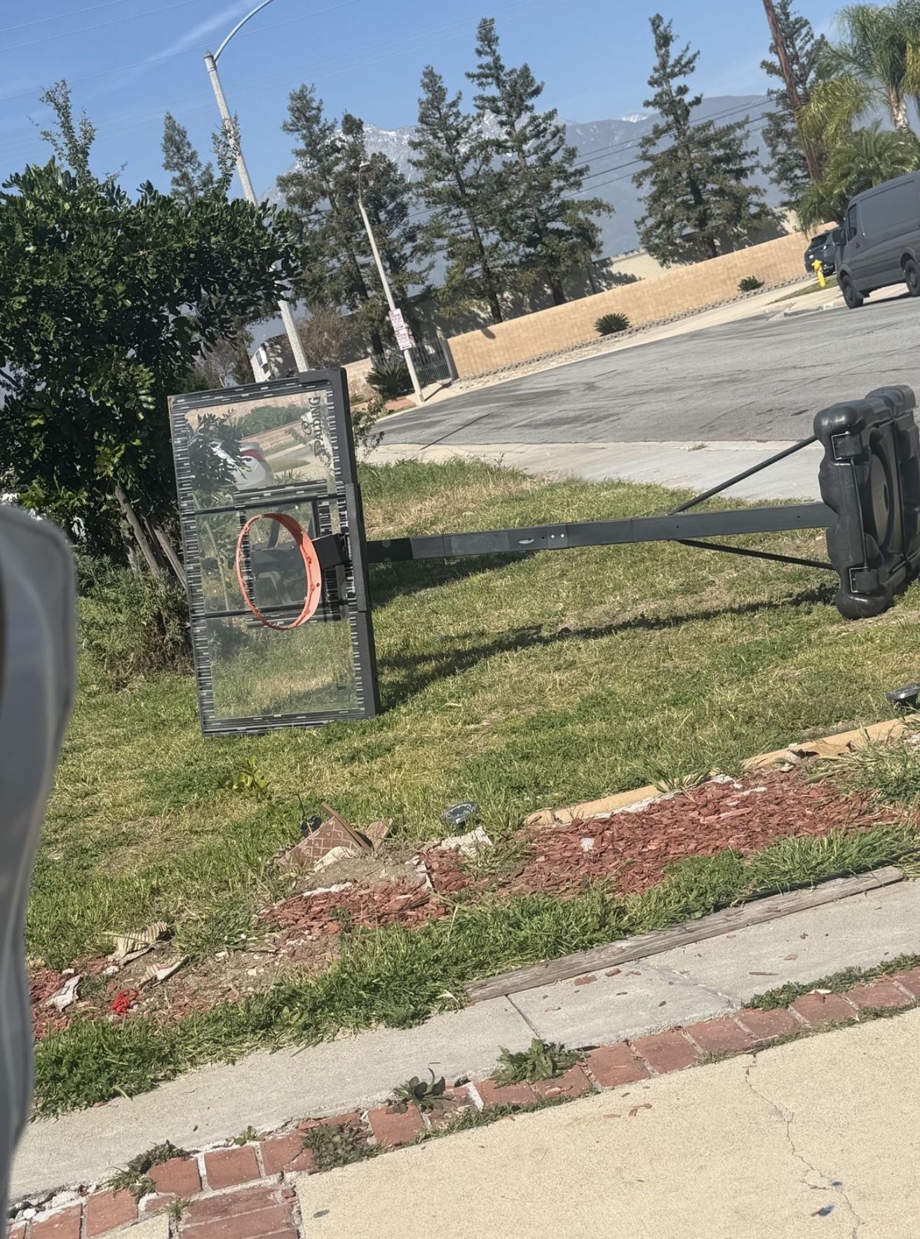 Basketball Hoop