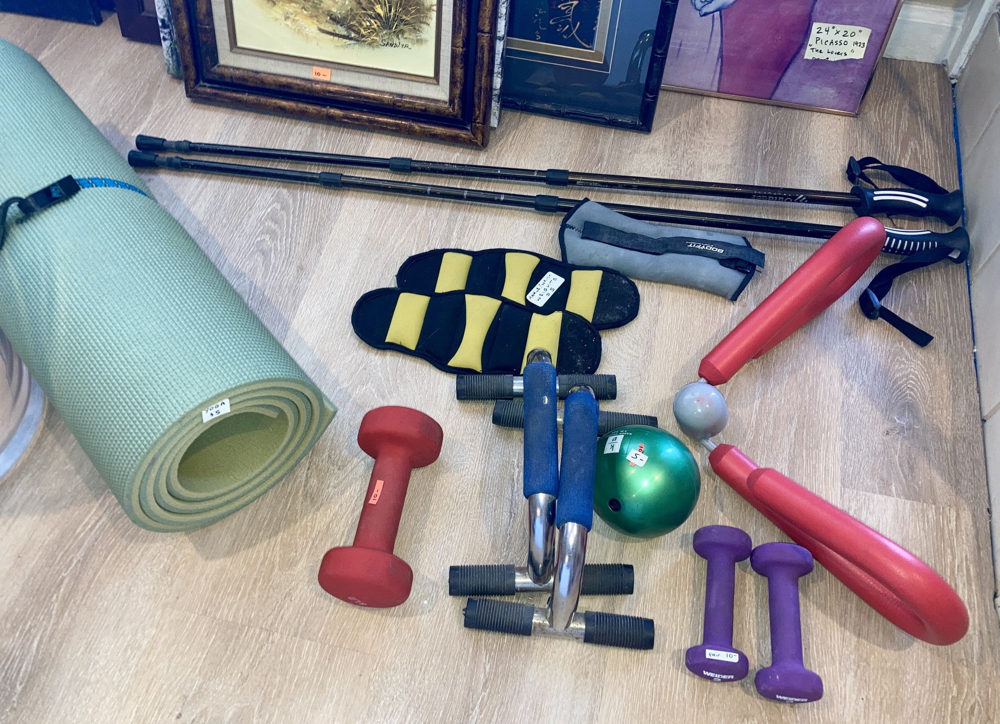 Exercise Equipment Dumbbells Weights Thigh Master Yoga Mat Hiking Poles Sports