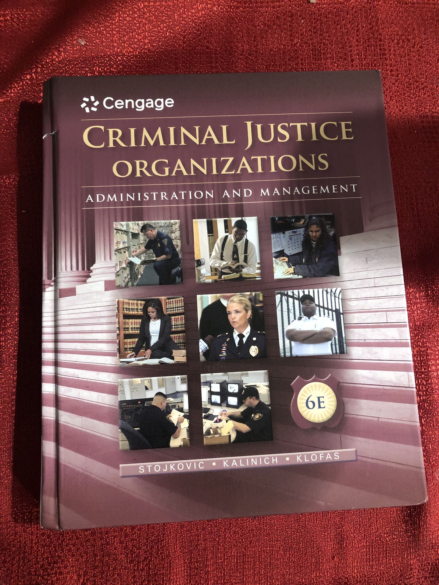 Criminal justice organizations book