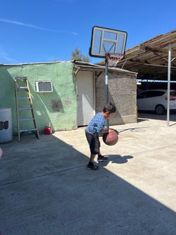 Basketball court