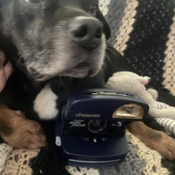 Dark Blue Polaroid One Step Has A Full Pack Of Film In It So You Can Use As Soon As You Get