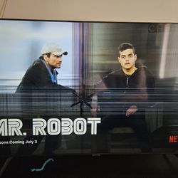 Samsung 65 inch Smart TV (Broken)