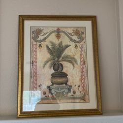 Coconut Picture With Frame
