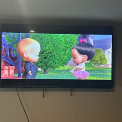 Vizio Tv (smart tv)