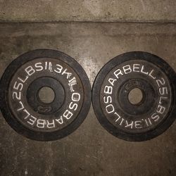 Pair of 25lb Olympic Weight Plates 
